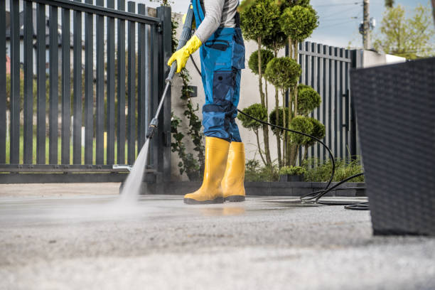 Best Roof Cleaning and Mildew Removal in Kenedy, TX